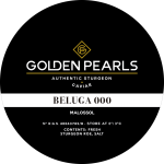 Beluga 000